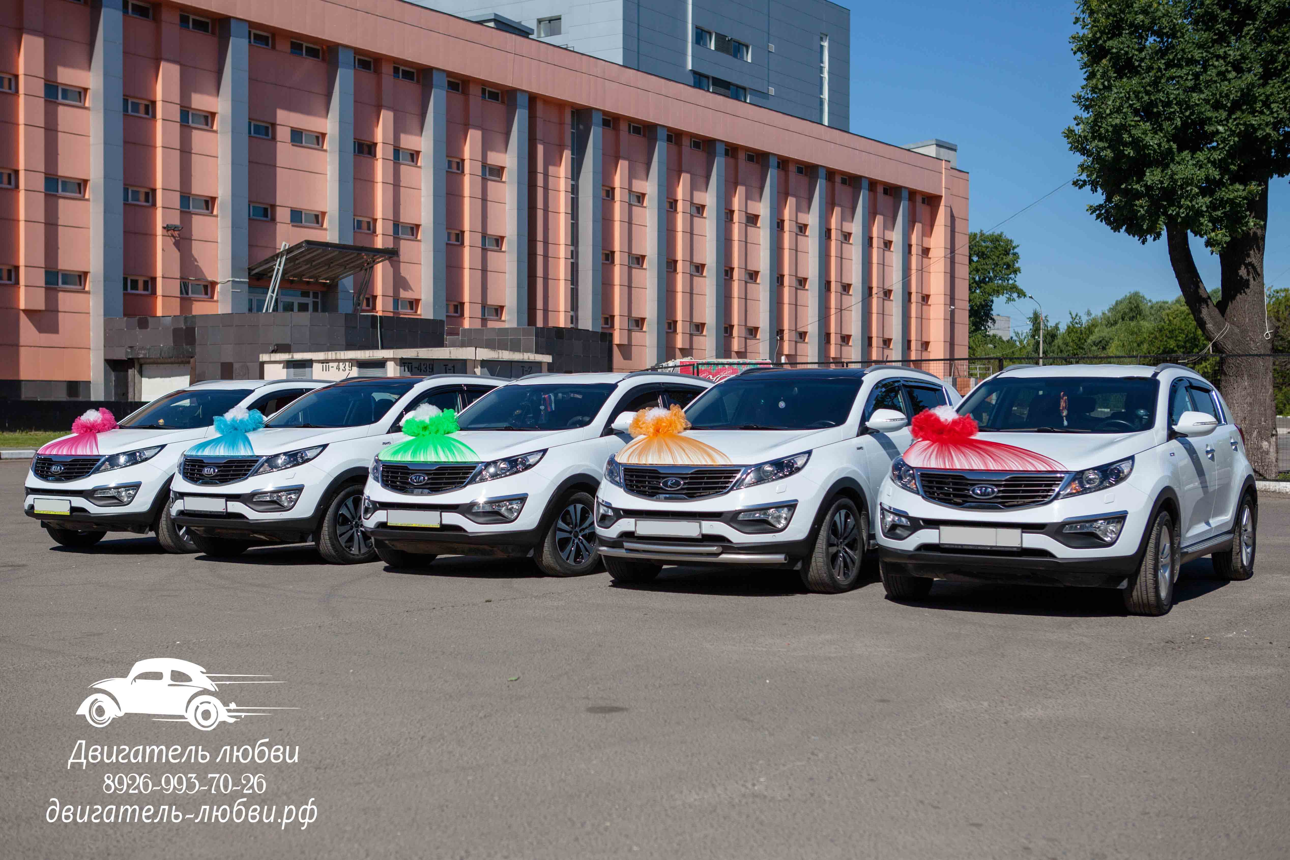 Кортеж на свадьбу из кроссоверов Kia Sportage в стиле радуга | Двигатель  любви